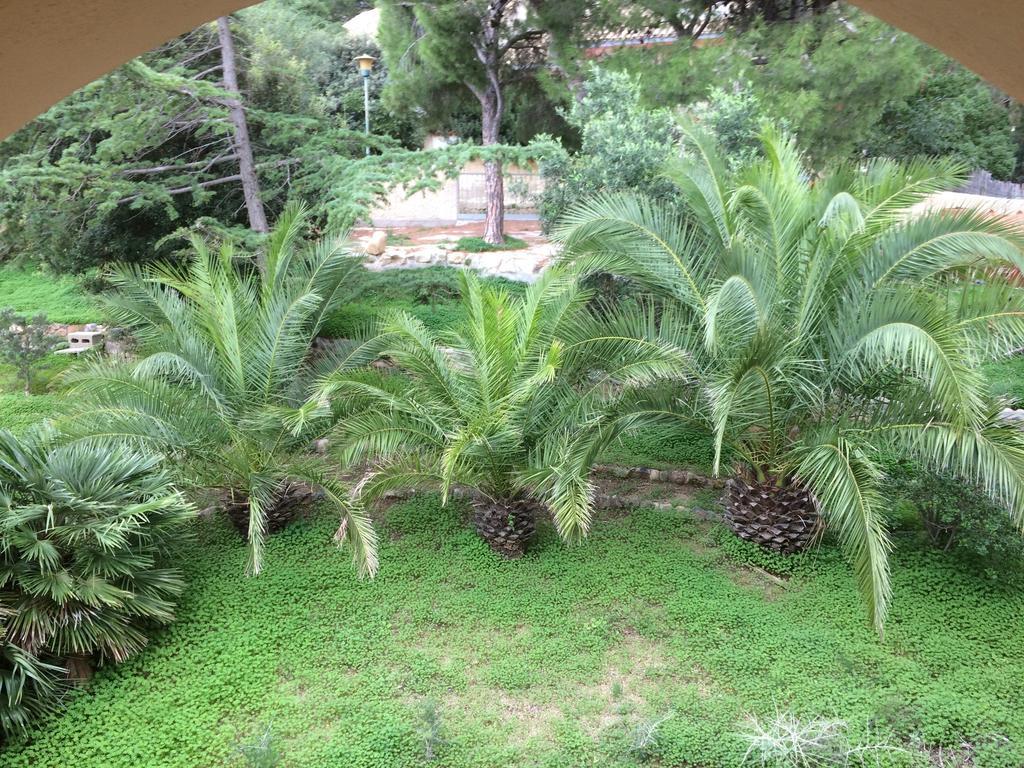 Bonu Apartment